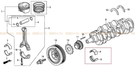 Вкладыш коренной F (розовый), Honda F20C