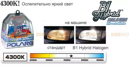 Лампы галогенные Polarg B1 Hybrid Halogen M-62 H3 12V 55W(100W) 4300K фото 2